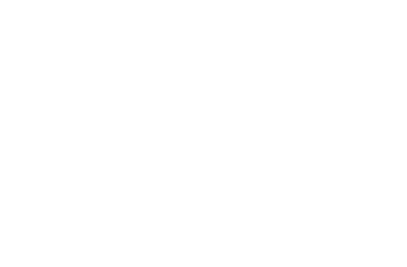 FSB